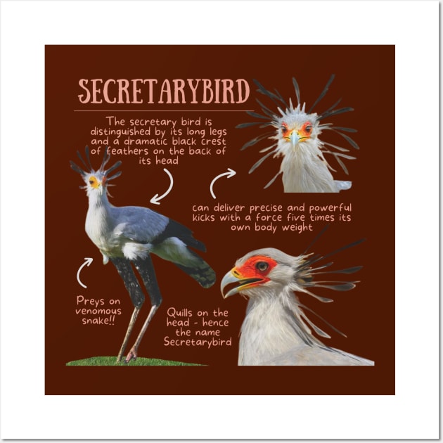 Animal Facts - Secretarybird Wall Art by Animal Facts and Trivias